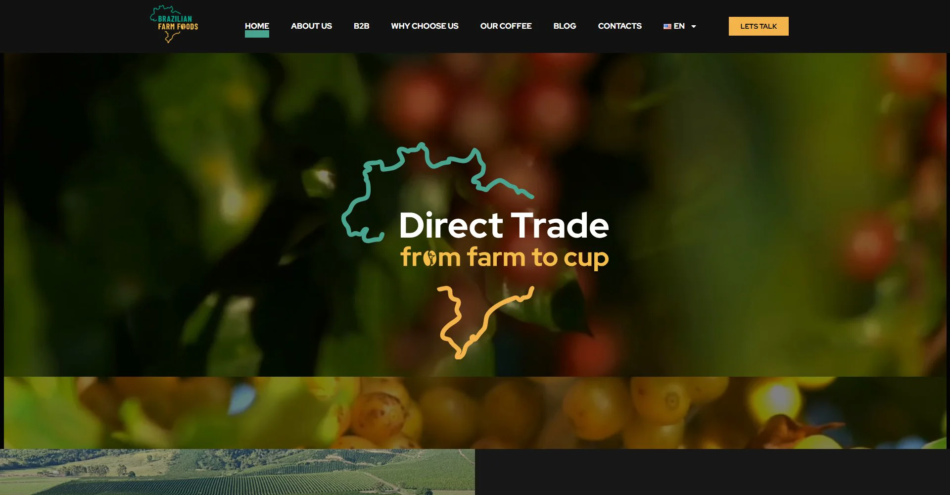 Corporate Website Brazilian Farm Food, hero screen